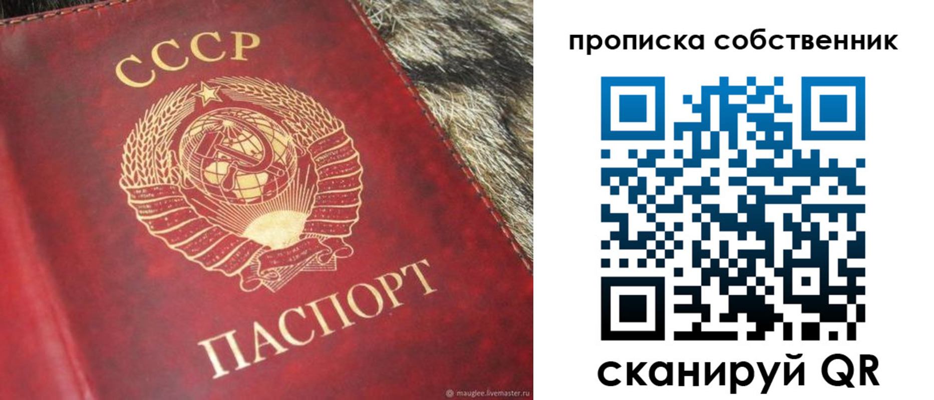 прописка в квартире в Чайковском